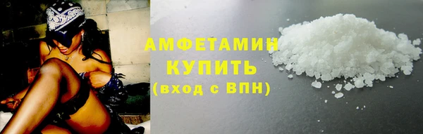 шишки Кодинск