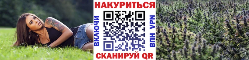 ОМГ ОМГ зеркало  Краснозаводск  Бошки марихуана индика  даркнет сайт 